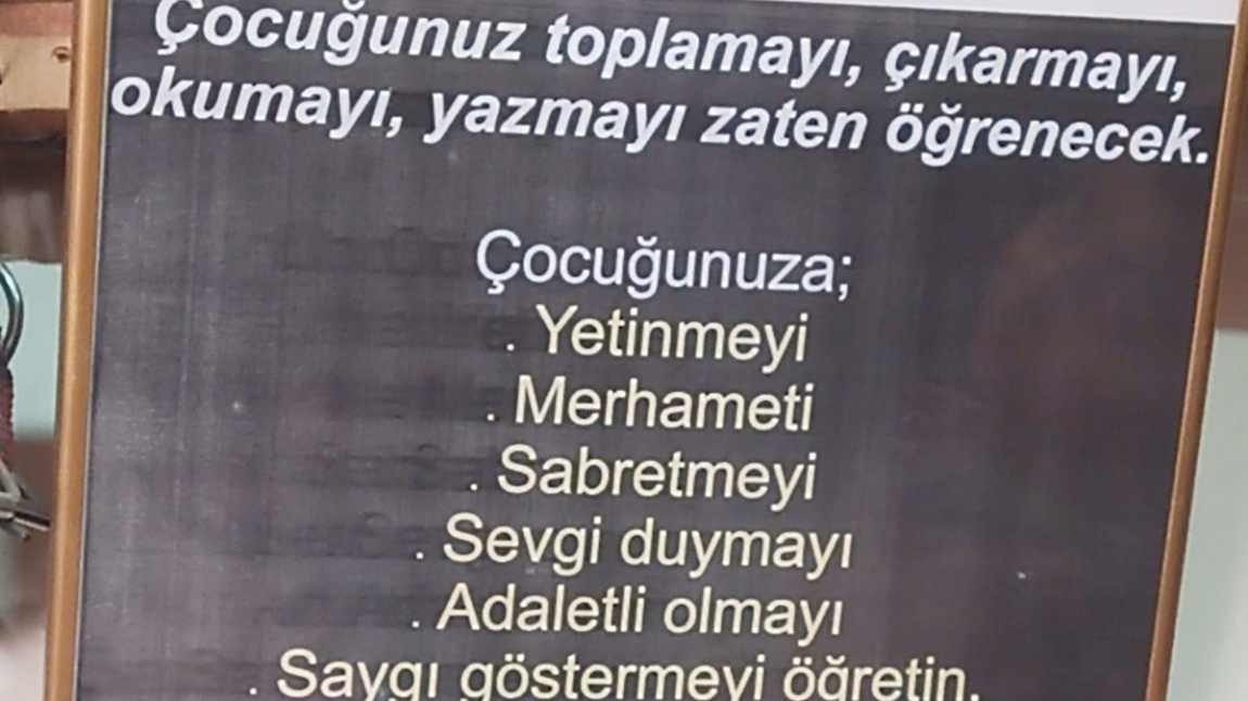 ŞEHRİMİ TANIYORUM